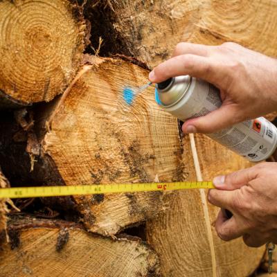 Martens, forstspray, orange