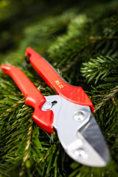 Wolf RS22 m.hostaflonskær