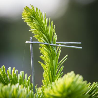 Grenretter - Triwi topbøjle 3 kryds, 100 stk.