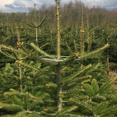 Topring metal til juletræer, 50 stk/ks