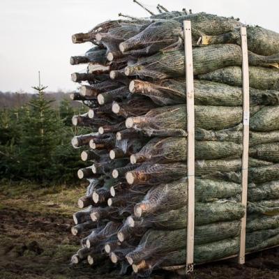 Juletræsnet LZ34 Finmasket Vacunet 10x400m