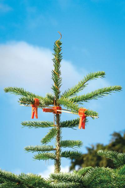 Topspiral, u/ring Plastbelagt 100 stk./bundt