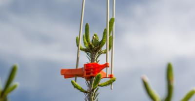 Premium, stor klemme, til fuglepinde, 100 stk./pose, orange