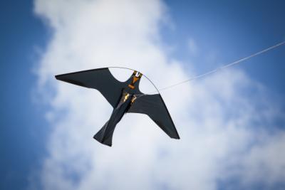 Skræmmedrage 10 m. komplet teleskopstang, jordspyd og drej