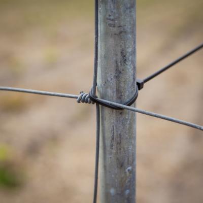 Hegnspæl, galvaniseret vandrør, 2 m, 1,2