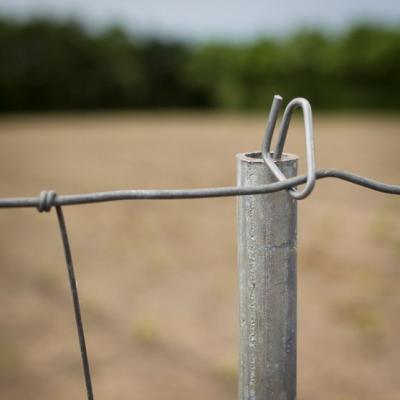 Hegnspæl, galvaniseret vandrør, 2,3 m, 1,2