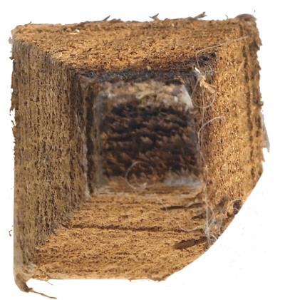 Robinia, træpæl, firkantskåren, 5 x 5 cm, 230 cm