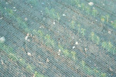 Skyggenet, 2 m x 100 m, 30 grøn