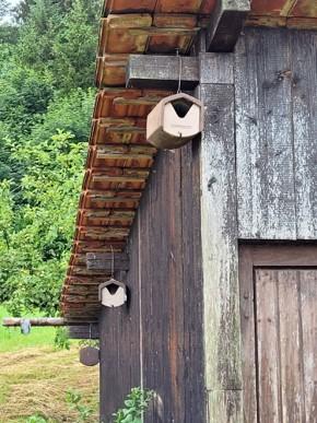 Schwegler, fuglekasse, 2HW, træbeton, dyb, kassemål: 15 x 21