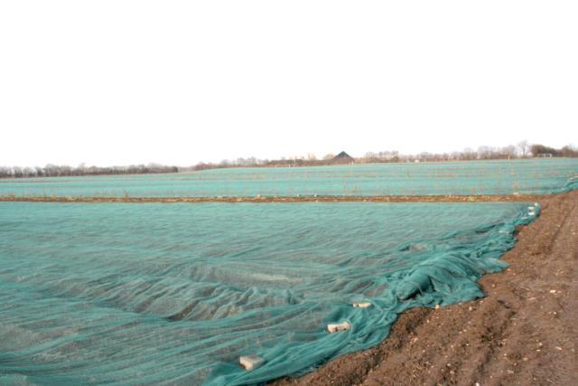 Skyggenet, 2 m x 100 m, 30 grøn