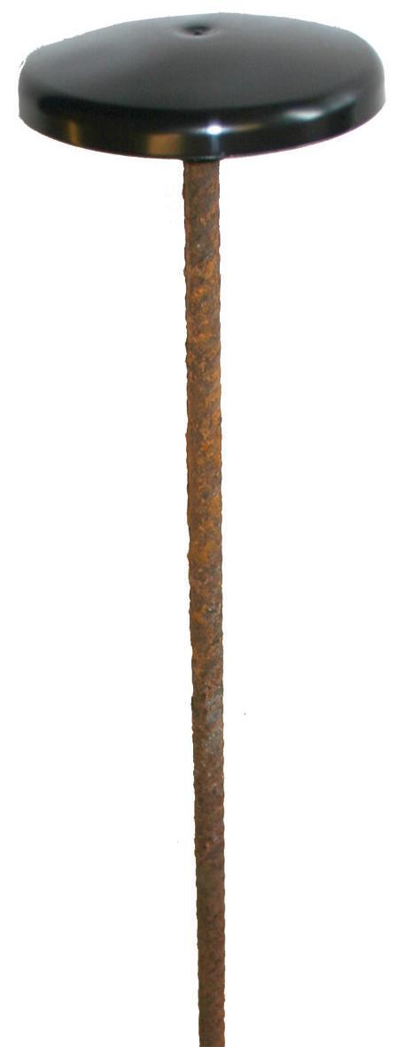 Stålpæl til paddehat, 10 x 800 mm