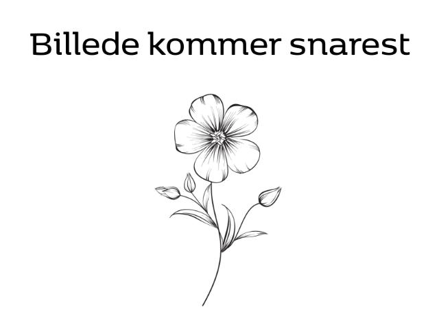 Frøblanding, Skovrejsning, 100 g pose, 2 kg/1000 m2