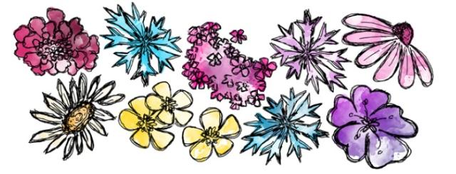 Frøblanding, Bifost, 1 kg,