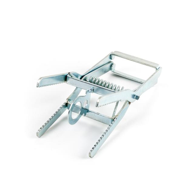 Muldvarpesaks, kraftig