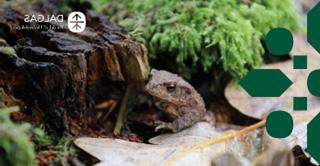 Tudse 330x170 Polyester Banner med øjer