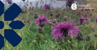 Blomster eng 330x170 Polyester Banner med øjer