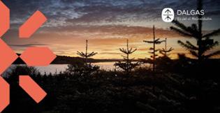 Juletræer i solnedgang 330x170 Polyester Banner med øjer