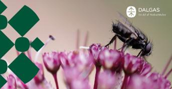 Flue på blomst 330x170 Polyester Banner med øjer