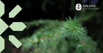 Grand gren 330x170 Polyester Banner med øjer