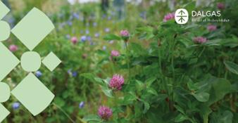 Biodiversitet 330x170 Polyester Banner med øjer