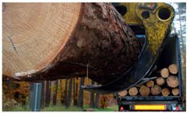 Stor træstamme lastes ind i lastbil,Banner