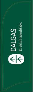 Beachflag komplet,grøn,Dalgas logo 260 x 60 cm
