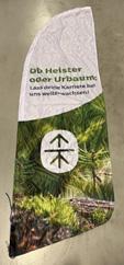 Beachflag m/spyd og jordskrue,grøn Hedeselskabet 250x70