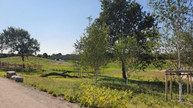 Opbindingsremme, -klodser og -pæle