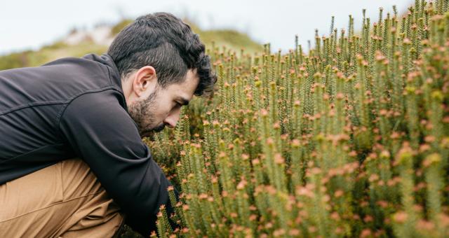 Hegnspæle og vandrør