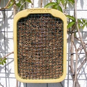 Schwegler, insekthus, træbeton, 29 x 20,5 x 22,5 cm