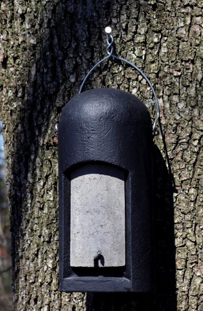 Schwegler, flagermuskasse, 2FN, træbeton, 16x36x16cm